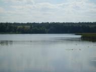 Степанівка з panoramio.com