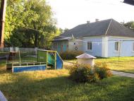 Рідкодуби з panoramio.com