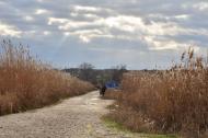 Приозерне з panoramio.com