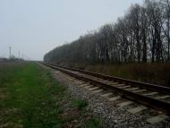 Грибенинка - Останні фото