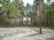 Дубовичі з panoramio.com