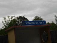 Кривоносівка з panoramio.com
