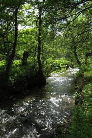 Никитовка - Последние фото