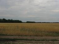 Городок з panoramio.com