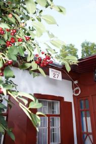 Чемерпіль з panoramio.com