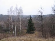 Залізняк з panoramio.com