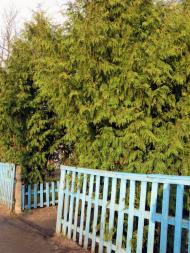 Рудка-Червинська з panoramio.com