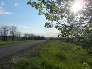 Жовте з panoramio.com