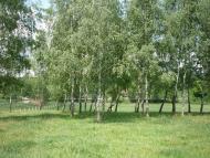 Білівці з panoramio.com