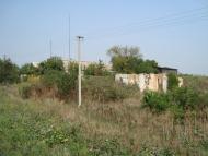 Весняна Квітка з panoramio.com