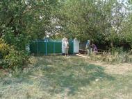 Весняна Квітка з panoramio.com