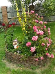 Дядьковичі з panoramio.com