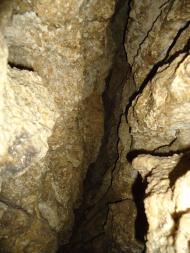 Залісся з panoramio.com