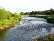 Котоване з panoramio.com