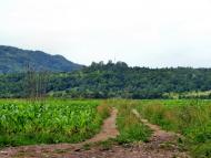 Керецьки з panoramio.com