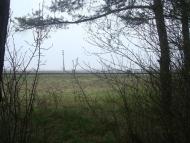 Оріхівка з panoramio.com