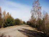 Шаболтасівка з panoramio.com