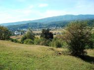 Довге з panoramio.com