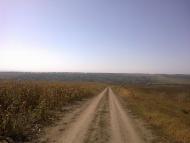 Ошихліби з panoramio.com