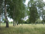 Довжик з panoramio.com