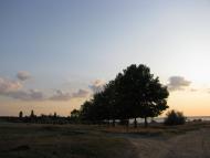 Малокаховка з panoramio.com