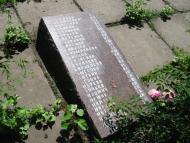 Новомалинівка з panoramio.com