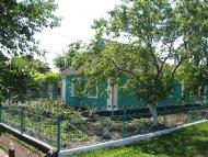 Новомалинівка з panoramio.com