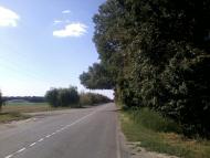 Петровське з panoramio.com