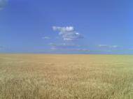 Малозахарине - Останні фото