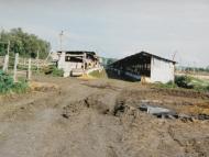 Козацьке з panoramio.com