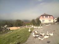 Бабухів з panoramio.com