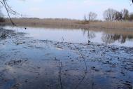 Петрівка з panoramio.com