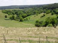 Ситники з panoramio.com