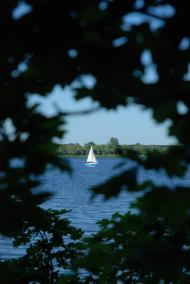 Молодова з panoramio.com
