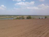 Васинівка з panoramio.com