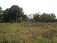 Весняна Квітка з panoramio.com