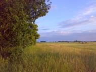 Берестовець з panoramio.com