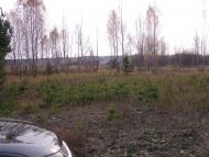 Круги з panoramio.com