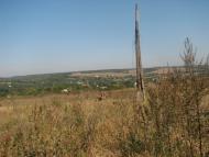 Поташня з panoramio.com