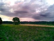 Березина з panoramio.com