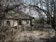 Кобзівка - Останні фото