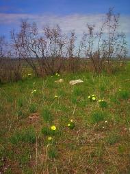 Приятне Свідання з panoramio.com