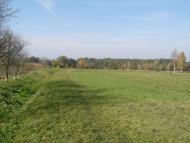 Полапи з panoramio.com