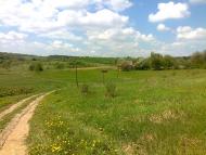 Лопушна з panoramio.com