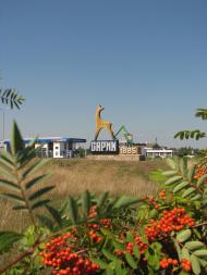 Сарни з panoramio.com