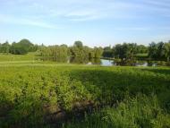 Мирне з panoramio.com