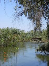 Жовнине з panoramio.com