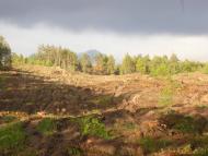 Гребені з panoramio.com - Гребені