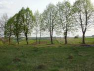 Любомирівка з panoramio.com