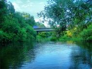 Марушівка - Останні фото